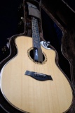 2011 Taylor Cocobolo GS-Ltd Fall Acoustic Guitar