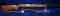 Ruger Model 10/22 Carbine Semi-Automatic Rifle Chambered in 22 LR