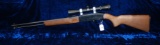 Winchester Model 190 .22L or .22LR Semi-Auto Rifle