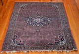 c. 1900 Bijar wool Carpet rust-red field 7'5