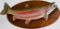 Rainbow Trout- Spectacular Looking MUSEUM QUALITY Trophy Mount