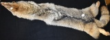 Michigan Coyote Pelt (64' Head To Tail)
