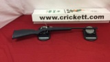 Keystone Crickett Rifle