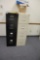 (2) 4-Drawer File Cabinets