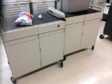 (2) Rolling Computer Carts