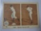 1959 FLEER TED WILLIAMS BOSTON REDSOX