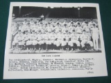 1946 NEW YORK YANKEES TEAM PHOTO JOE DIMAGGIO