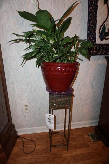 Plant Stand With Plant