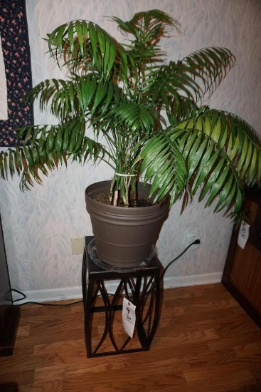 Plant Stand With Plant