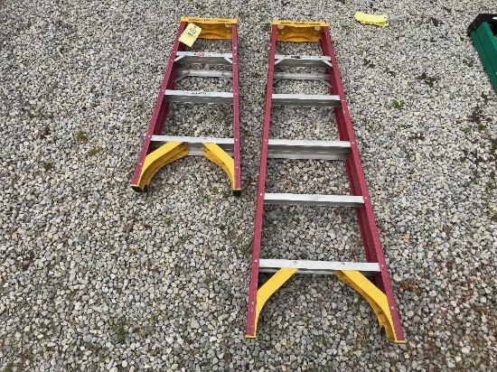4' & 6' Werner Step Ladders