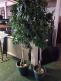 2 Autograph Foliage Artificial Trees