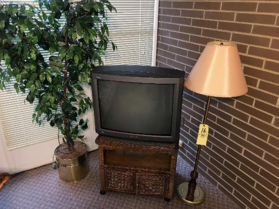 wicker stand, tv, tree, lamp