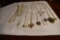 Necklaces and Pearl bracelets