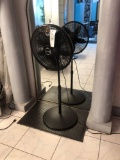 Lasko Fan & Mat