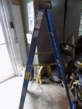 Werner 6' stepladder