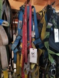 4 harnesses and 2 slings