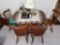 Drop Leaf Table and (4) Chairs