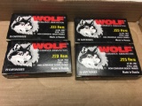 Wolf .223 ammo