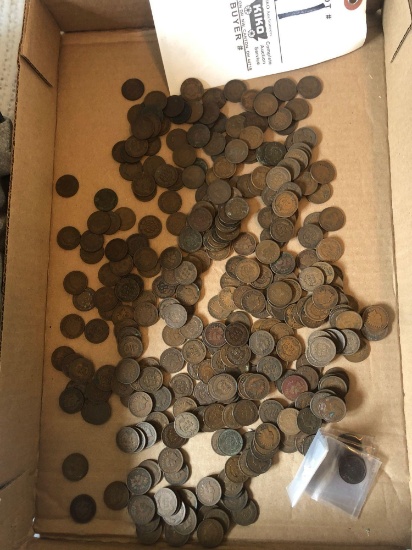 Large lot of Indian head cents