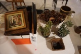 Plants, pine cones, frames