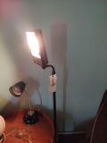 Desk Lamp & Floor Lamp