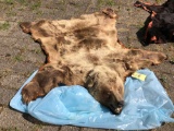 Brown bear rug.