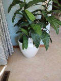 Artificial Plant