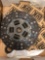 Luk clutch Kit