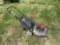 Craftsman Push Lawn Mower