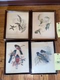 Set of (4) bird prints