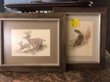 2 framed printed raccoon and deer, signed