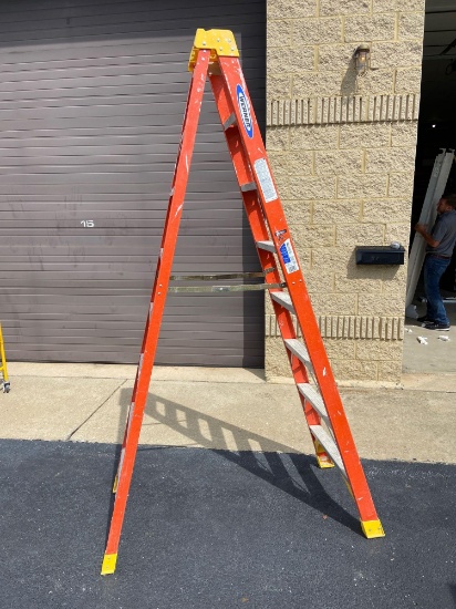 8' Werner Ladder