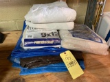 Drop Cloth and Tarps