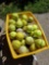 Basket of softballs