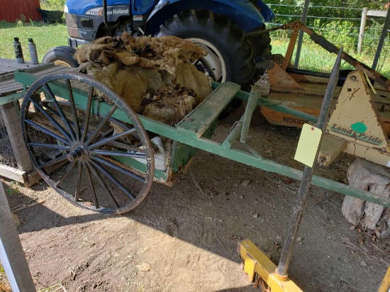 Horse Buggy and Pelts