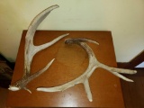 Two Large Antler Sheds