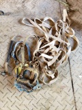 Bridles and Lead Ropes