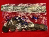 Indian Head Cents (82)