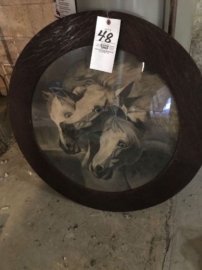 Round Horse Framed Print