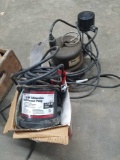 Pair of sump pumps