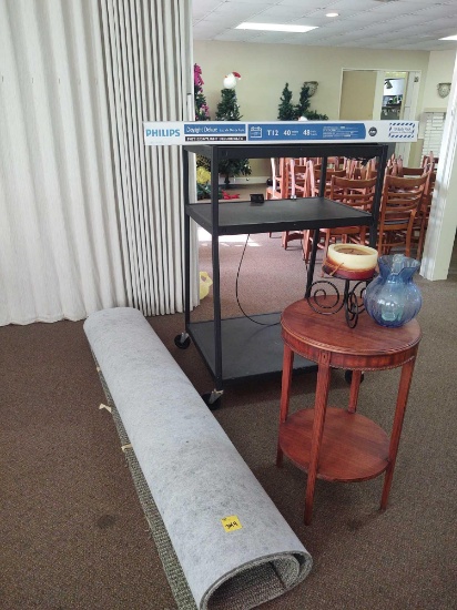 Rug, AV Cart, Side Stand, Decor and Daylight Deluxe Bulbs