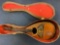 Mandolin Musical Instrument w/ Case