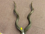 Decorator horns