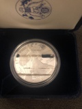 2001 silver American eagle one dollar coin