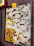 Fishing lures in case