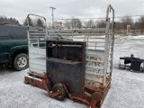 Cattle squeeze chute with scale