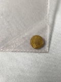 1875 gold coin