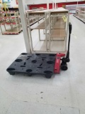 Dayton 5500 capacity pallet jack