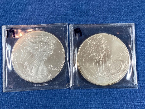 1996 Silver Eagle .999 Silver 1 oz. round