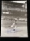 Joe DiMaggio signed 8 x 10 photo. VS COA #A11373.